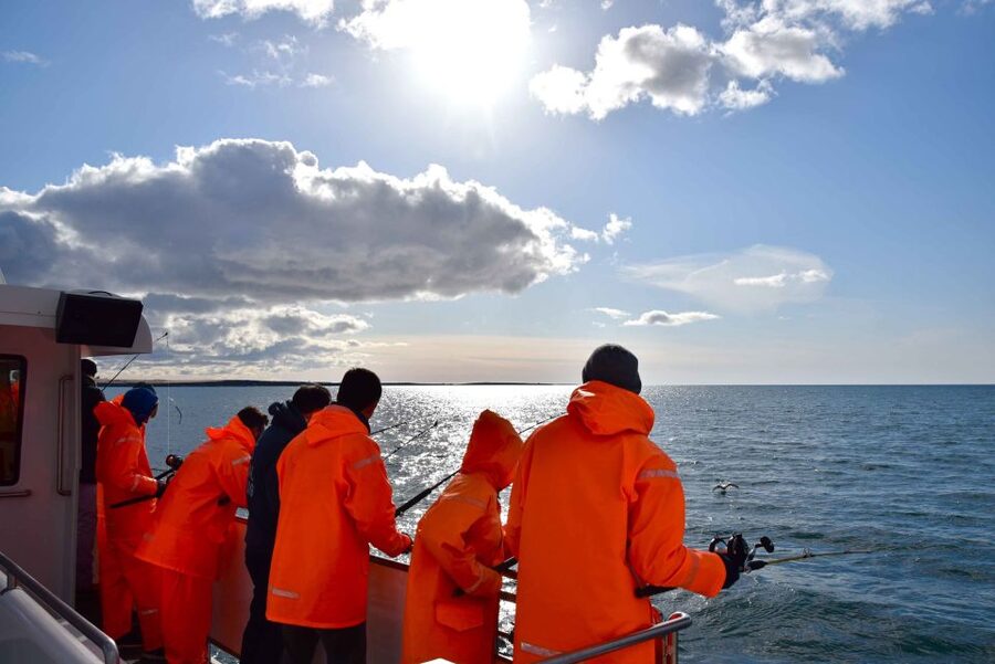 Reykjavik: Sea Fishing Boat Tour & BBQ with the Day's Catch - Should you book the Reykjavik sea fishing boat and BBQ?