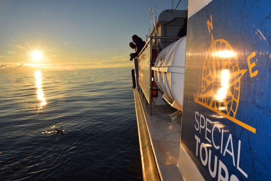 Reykjavik: Sea Fishing Boat Tour & BBQ with the Day's Catch - Target fish in cold water, and how your odds shape the day