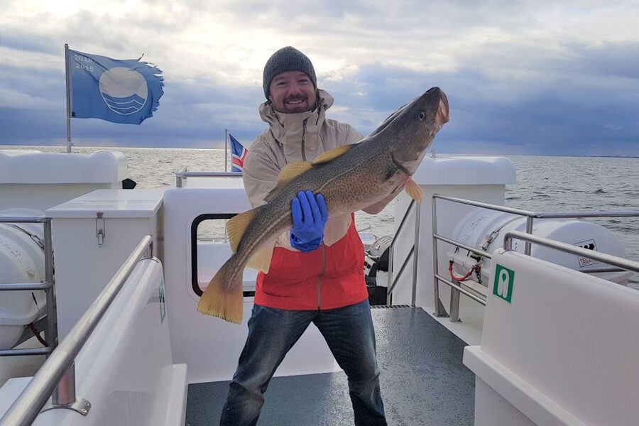 Reykjavik: Sea Fishing Boat Tour & BBQ with the Day's Catch - Onboard BBQ with potatoes: turning the catch into dinner while you’re still at sea