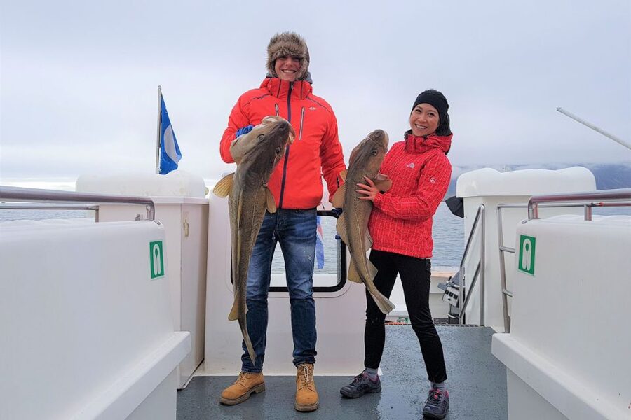 Reykjavik: Sea Fishing Boat Tour & BBQ with the Day's Catch - Views, wildlife, and when the captain goes looking beyond fishing