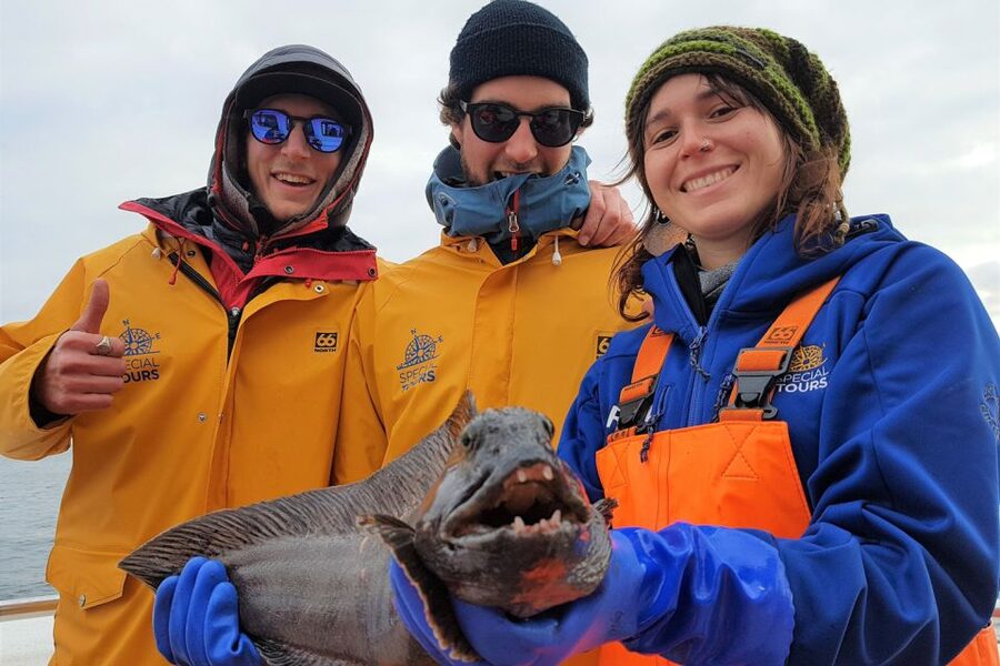 Reykjavik: Sea Fishing Boat Tour & BBQ with the Day's Catch - Price and value: what you get for $141 per person