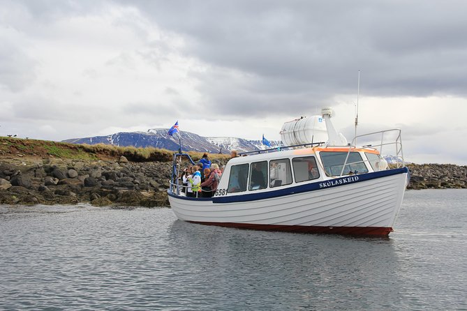 Reykjavik Shore Excursion: Puffin Sightseeing Cruise - Getting there smoothly: Skarfabakki Harbour to the port shuttle