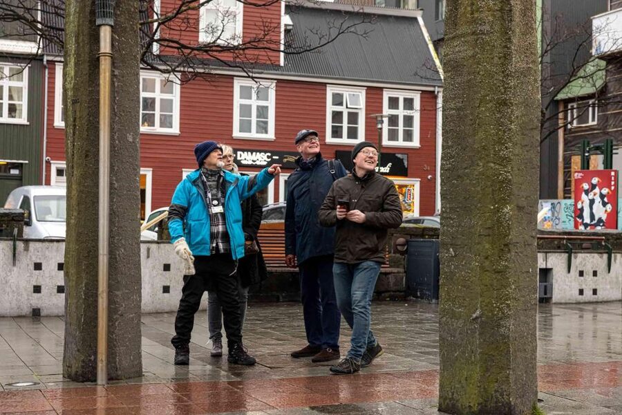 Reykjavik: Sightseeing Walking Tour with a Viking - Alþingi photo stop and Lake Tjornin’s birdlife break