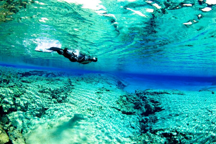 Reykjavik: Silfra Snorkeling & Lava Tunnel Adventure Combo - Silfra snorkeling: why the water looks unreal