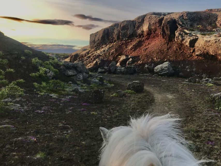 Reykjavik: Small-Group Horse Volcano Riding Tour with Pickup - Reykjavik Pickup to Volcanic Views, Without the Big-Day Hassle