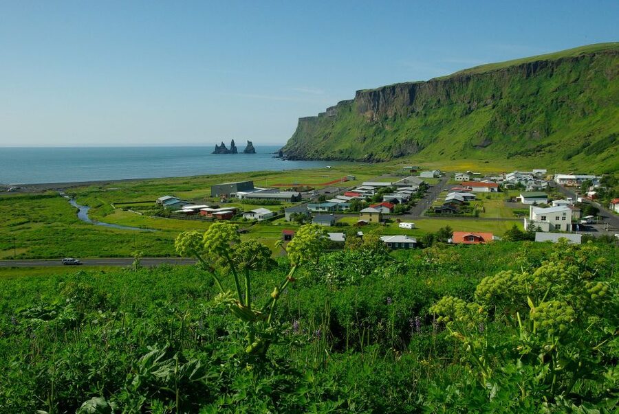 Reykjavik: South Coast Private Guided Day Tour - Dyrhólaey: Coastal Cliffs, Seabirds, and Windy Views
