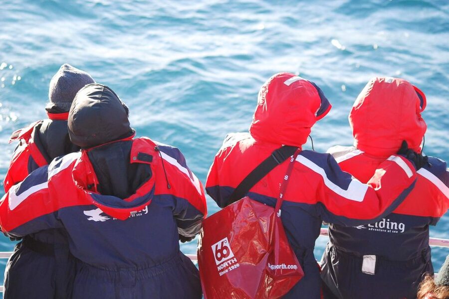 Reykjavik: the Original 3-Hour Whale Watching Tour - Best viewing strategy: front deck versus hearing the guide