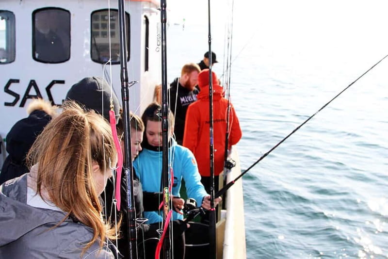 Reykjavik: Traditional Sea Fishing with BBQ Feast - Reykjavik’s Old Harbor sets the tone for real sea fishing