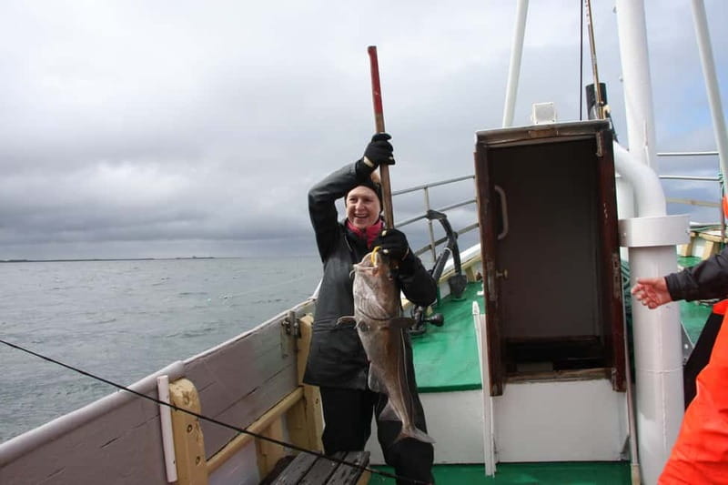 Reykjavik: Traditional Sea Fishing with BBQ Feast - Value in plain numbers, and what you actually get for $176