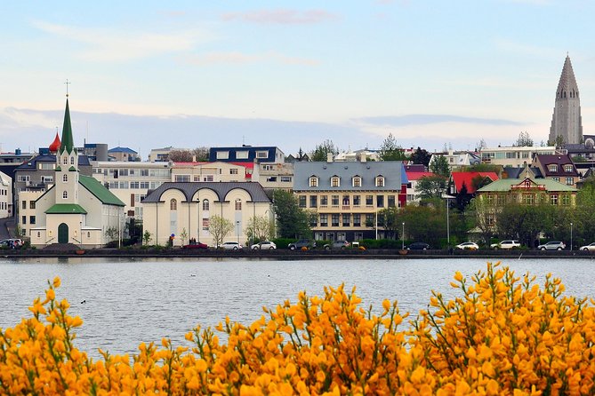 Reykjavik Walking Tour - Walk with a Viking - Austurvollur and the City Hall pulse check