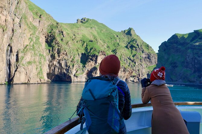 Reykjavik - Westman Islands (Bus transfer to Landeyjahöfn) - Bus Transfer Value: the “connector” that saves real time