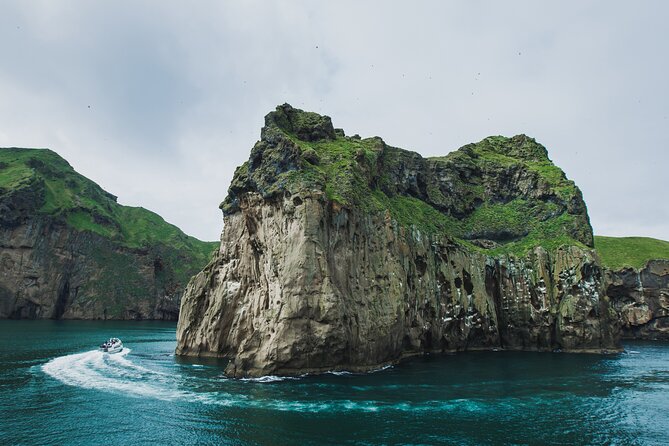 Reykjavik - Westman Islands (Bus transfer to Landeyjahöfn) - What’s included on the coach, and why it matters