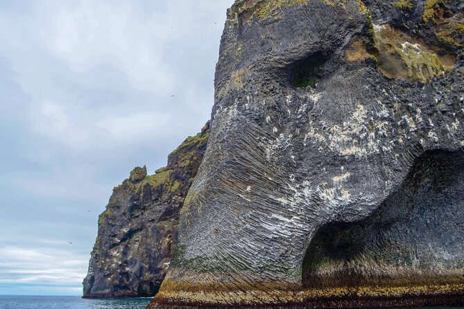 Reykjavík: Westman Islands, Volcanoes and Puffins Minibus Tour - Eldheimar Museum: your volcanic context in about 100 minutes