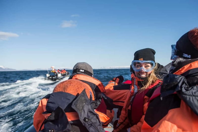 Reykjavik: Whale and Puffin Watching RIB Boat Tour - Puffins on the islands: what you can realistically expect