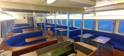 Whale & Marine Adventure Tour