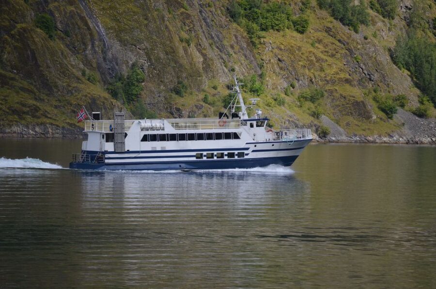Reykjavik: Whale & Marine Adventure Tour - Getting There: Old Harbour House Check-In and Pickup Options