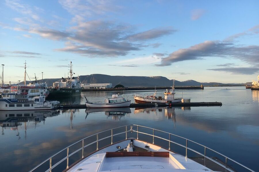 Reykjavik: Whale Watching and Dolphin Watching Yacht Cruise - Old Harbor check-in and what happens before you sail
