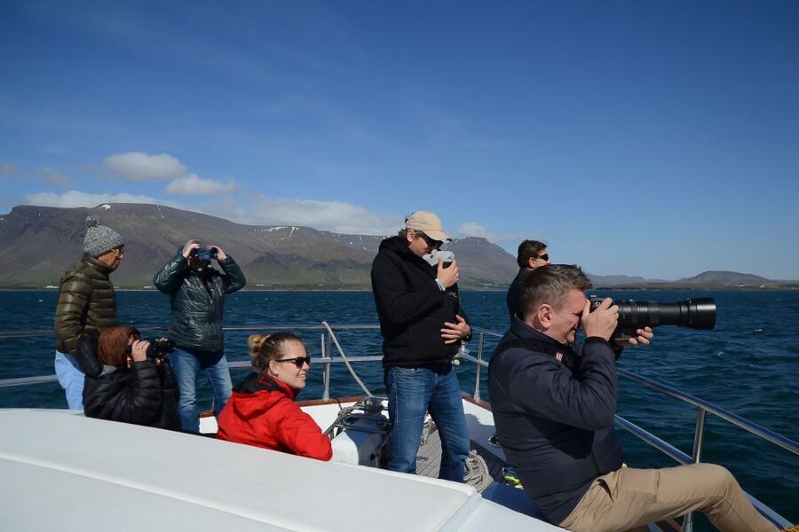Reykjavik: Whale Watching and Dolphin Watching Yacht Cruise - FAQ