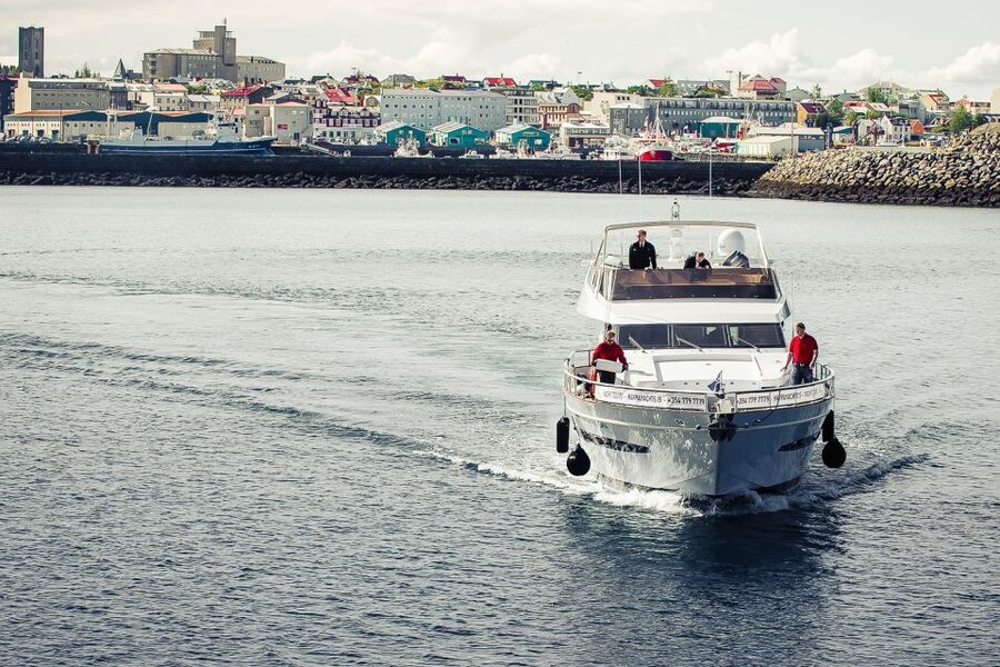 Reykjavik: Whale Watching and Dolphin Watching Yacht Cruise - Faxafloi Bay wildlife search: whales, dolphins, and seabirds