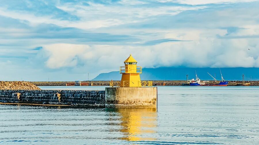 Reykjavík: Whale Watching and Marine Life Cruise - What to Bring (So You Don’t Cut Your Trip Short)