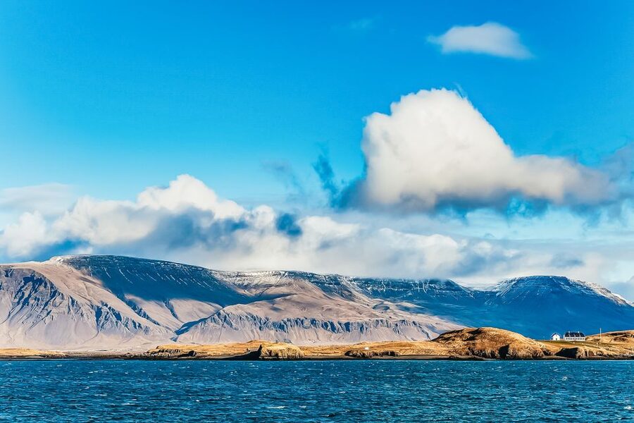 Reykjavík: Whale Watching and Marine Life Cruise - Faxaflói Bay: Why Whale Watching Works From Reykjavík