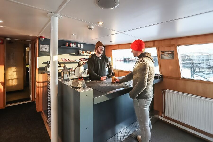 Reykjavík: Whale Watching and Marine Life Cruise - What You Might Spot: Whales, Dolphins, Porpoises, Seals