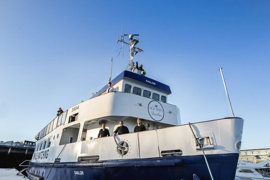 Reykjavík: Whale Watching and Marine Life Cruise - Price and Value: What $87 Gets You