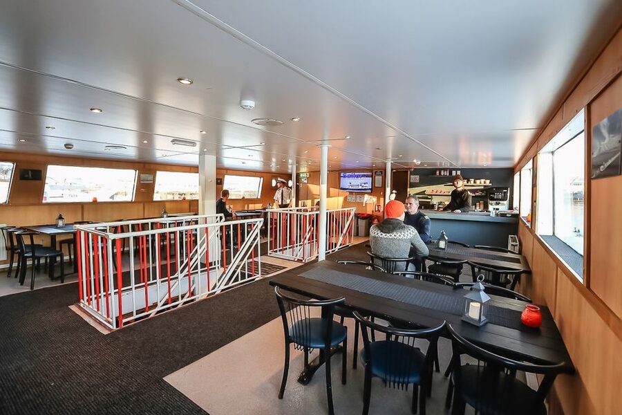 Reykjavík: Whale Watching and Marine Life Cruise - Who This Cruise Fits Best