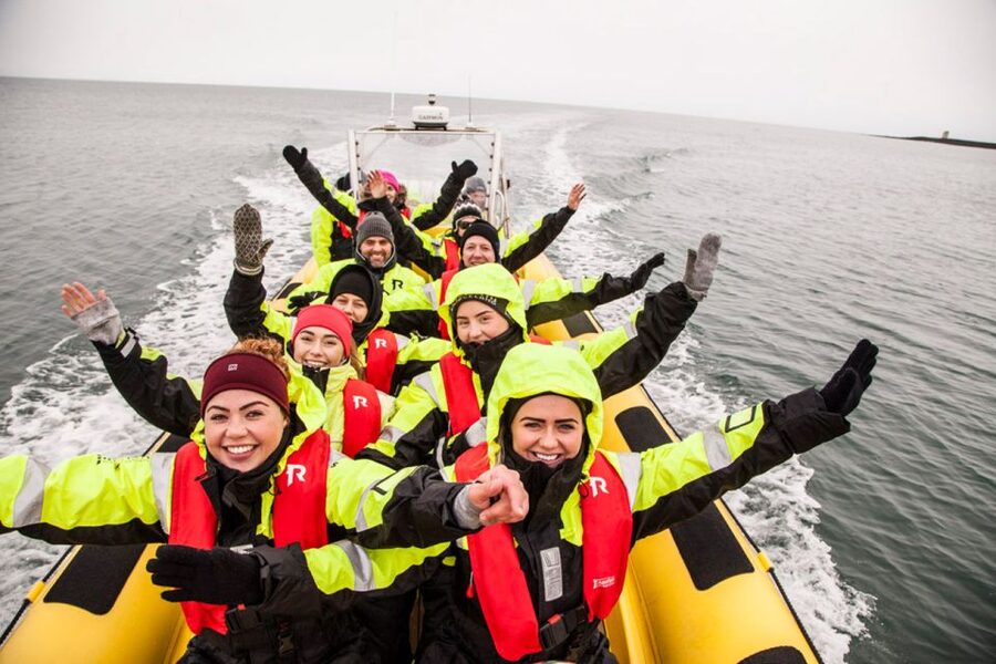 Reykjavik: Whale Watching by RIB Speedboat - Key highlights you will actually care about