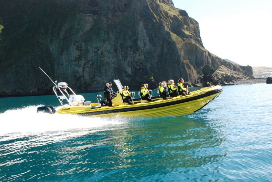 Reykjavik: Whale Watching by RIB Speedboat - Who should book this RIB tour, and who should skip it