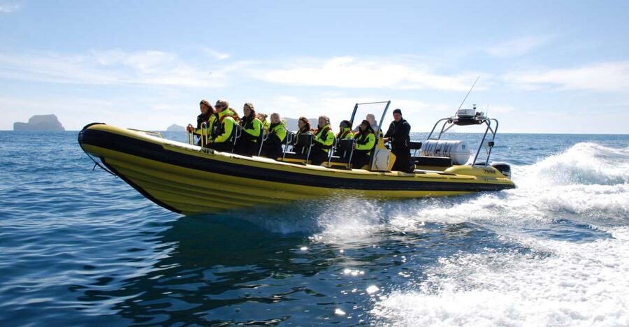 Reykjavik: Whale Watching by RIB Speedboat - What the RIB ride is like when the wind is real