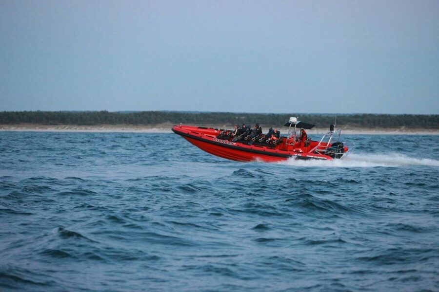 Reykjavik: Whale Watching by RIB Speedboat - Weather, rescheduling, and how the captain decides your route
