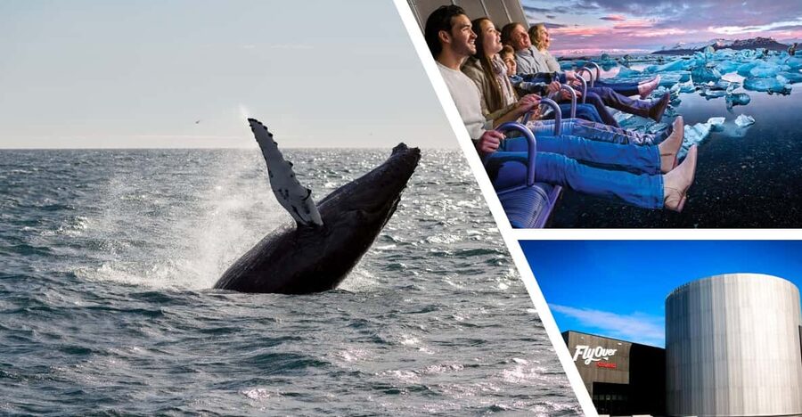 Reykjavík: Whale Watching Cruise and FlyOver Combo Ticket - Price and Logistics: what $153 buys you, and where the value comes from