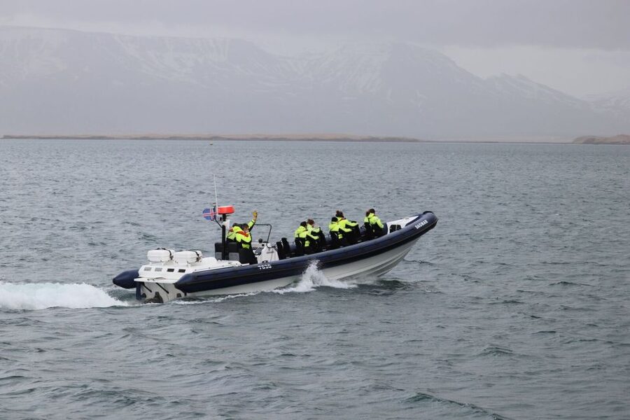 Reykjavik: Whale Watching Tour by RIB Boat - Weather reality in Reykjavik: plan for flexibility