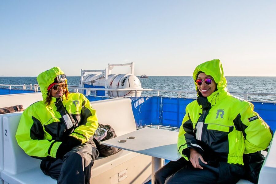 Reykjavik: Whale Watching Tour with Expert Guide - Onboard flow: what happens during the 2 to 3 hours