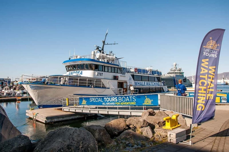 Reykjavik: Whale Watching Tour with Expert Guide - Andrea, the whale ship: comfort you’ll actually notice in Iceland