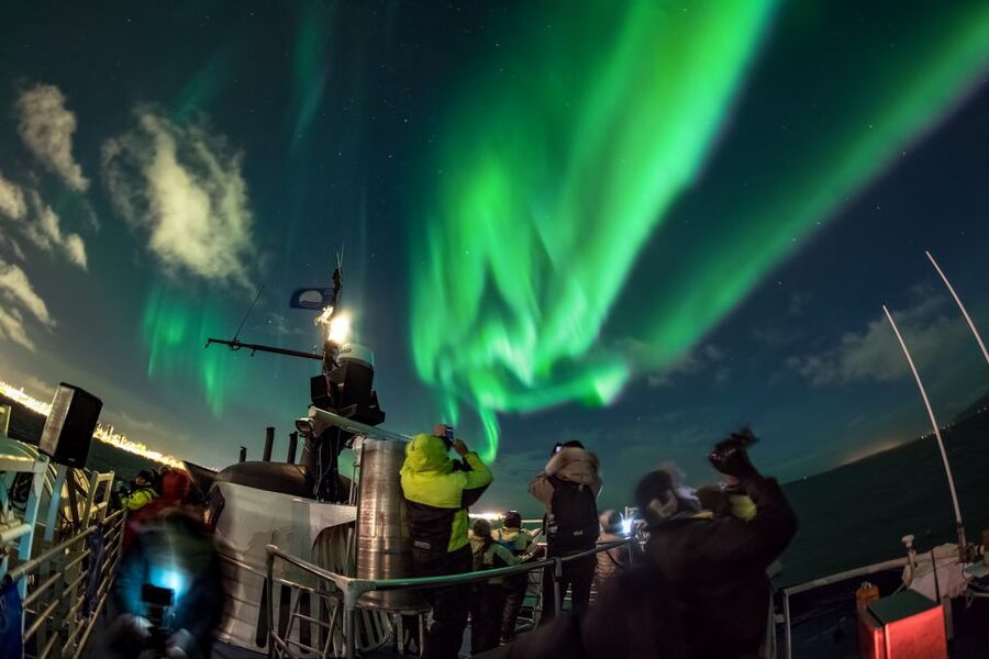 Reykjavik: Whales and Northern Lights Boat Tour - Should You Book This Tour?