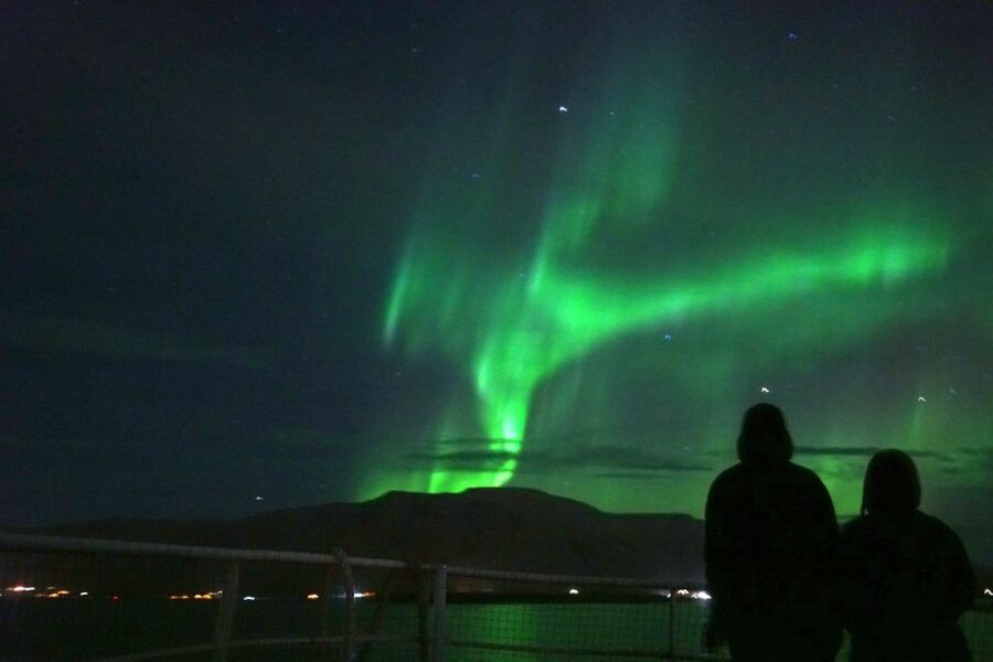 Reykjavik: Whales and Northern Lights Boat Tour - FAQ