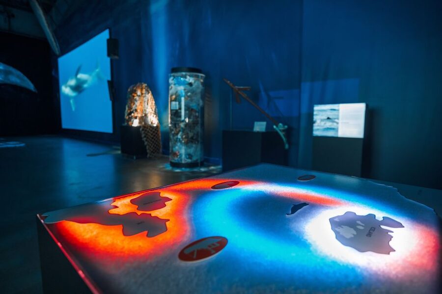 Reykjavik: Whales of Iceland Museum Entrance Ticket - Key things I’d prioritize at Whales of Iceland