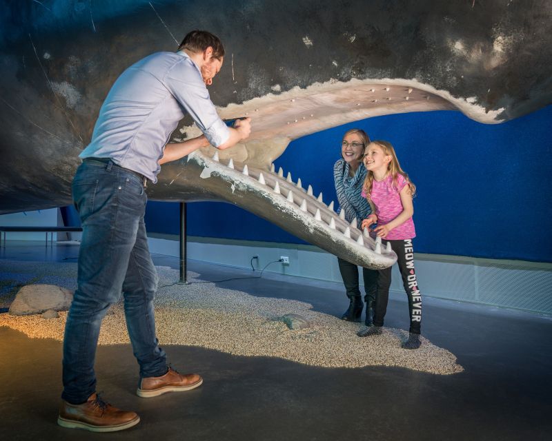 Reykjavik: Whales of Iceland Museum Entrance Ticket - Should you book Whales of Iceland?