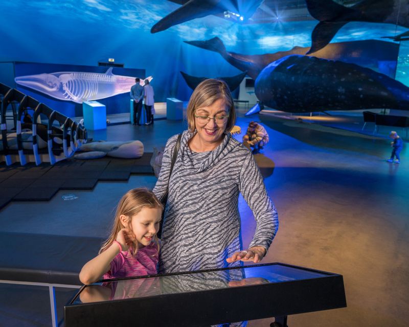 Reykjavik: Whales of Iceland Museum Entrance Ticket - FAQ