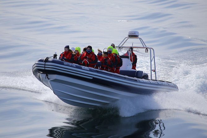RIB boat express: Whales, Eyjafjord and Akureyri - Whale Guarantee: How the Try-Again Plan Protects Your Money