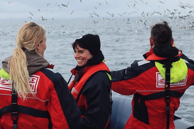 RIB Whale Watching Small-Group Boat Tour from Reykjavik - Price and value: what your $208.09 is really buying