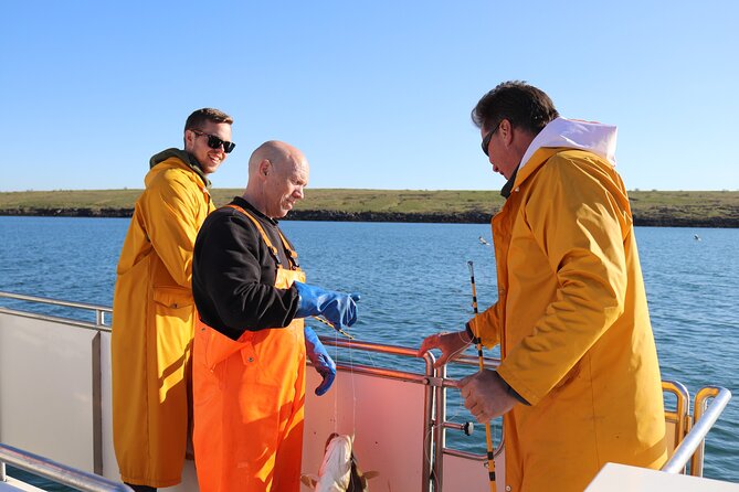 Sea Fishing Experience from Reykjavik - Key things I would bank on before you go