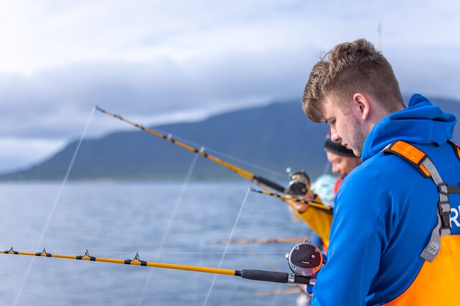 Sea Fishing Experience from Reykjavik - Why Reykjavik sea fishing works so well (even if you have never fished at sea)