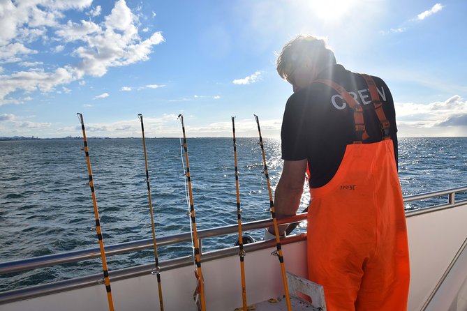 Sea Fishing Experience from Reykjavik - Summer sightings on the route: Akurey and Lundey, plus puffins and seabirds