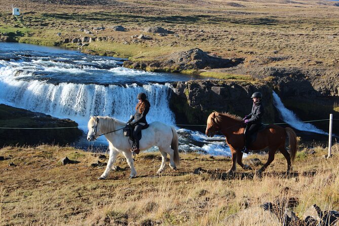 Short Riding Tour with Eye-Catching Photos at Waterfall - Getting Started at Hestasport: Where Your Ride Begins