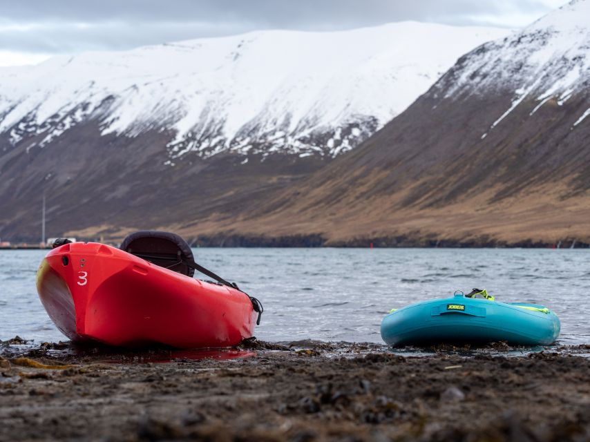 Siglufjörður / Siglufjordur: Guided kayak tour. - Key things I’d plan around