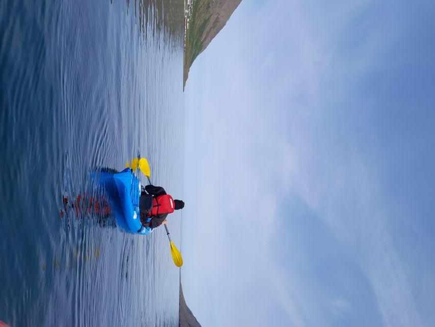 Siglufjörður / Siglufjordur: Guided kayak tour. - Where Siglufjörður shines from the water