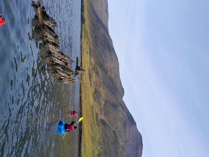 Siglufjörður / Siglufjordur: Guided kayak tour. - Wildlife sightings, and why the guide’s calm matters